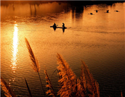 鄱阳湖国家湿地公园全景二日游
